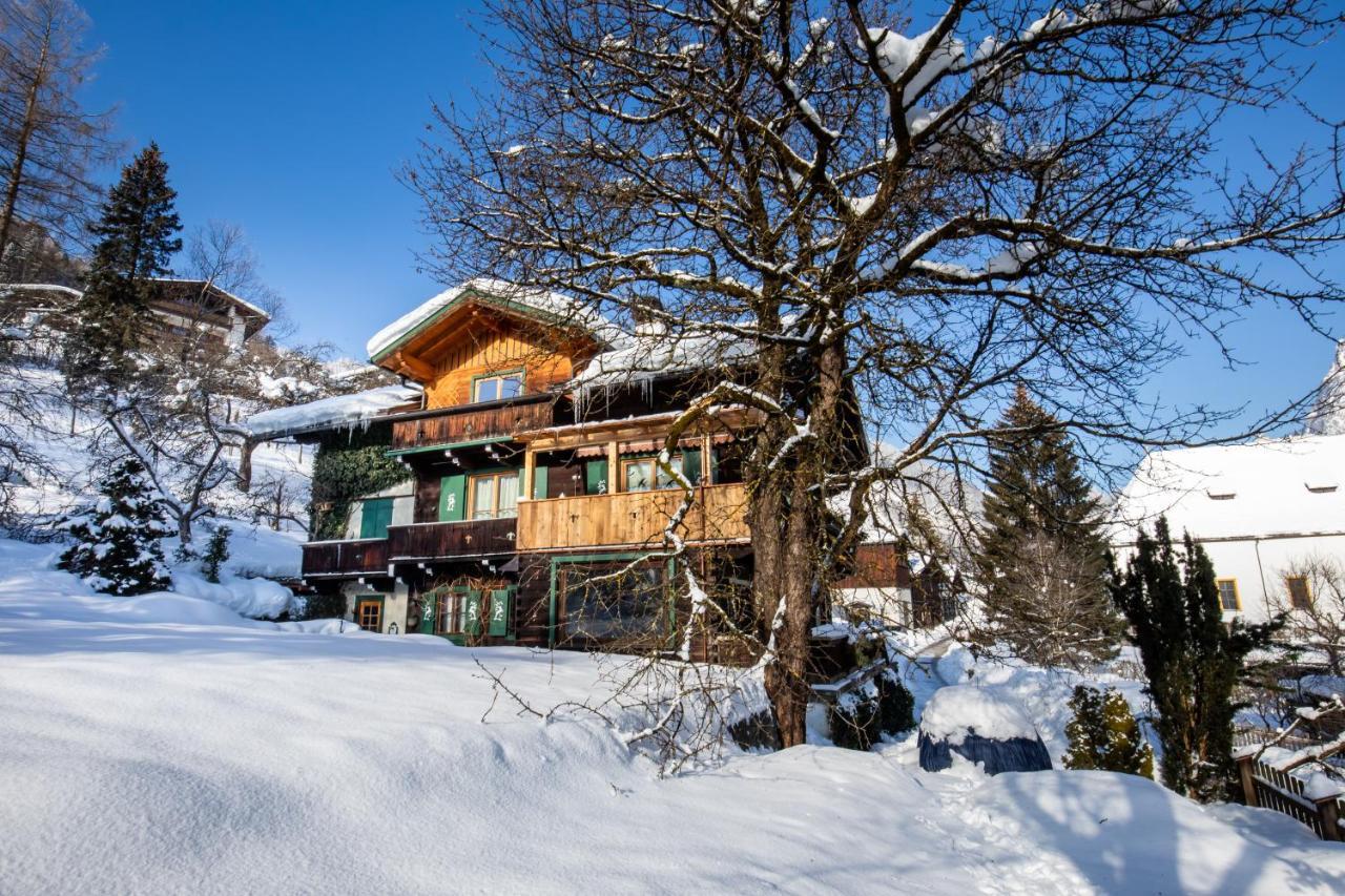 Haus Weidmannsheil - Wohnen Im Romantischen Forsthaus Werfen Kültér fotó