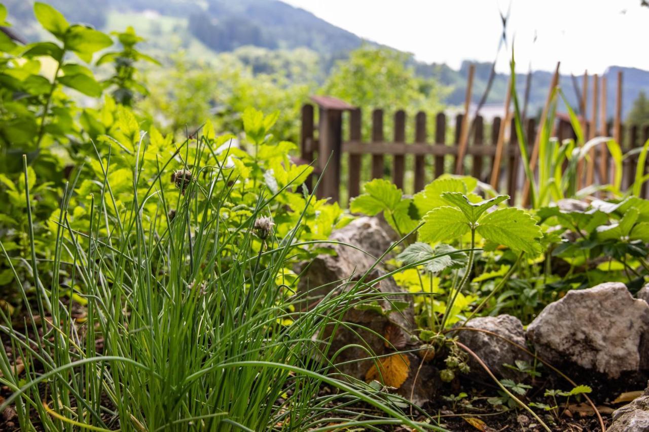 Haus Weidmannsheil - Wohnen Im Romantischen Forsthaus Werfen Kültér fotó