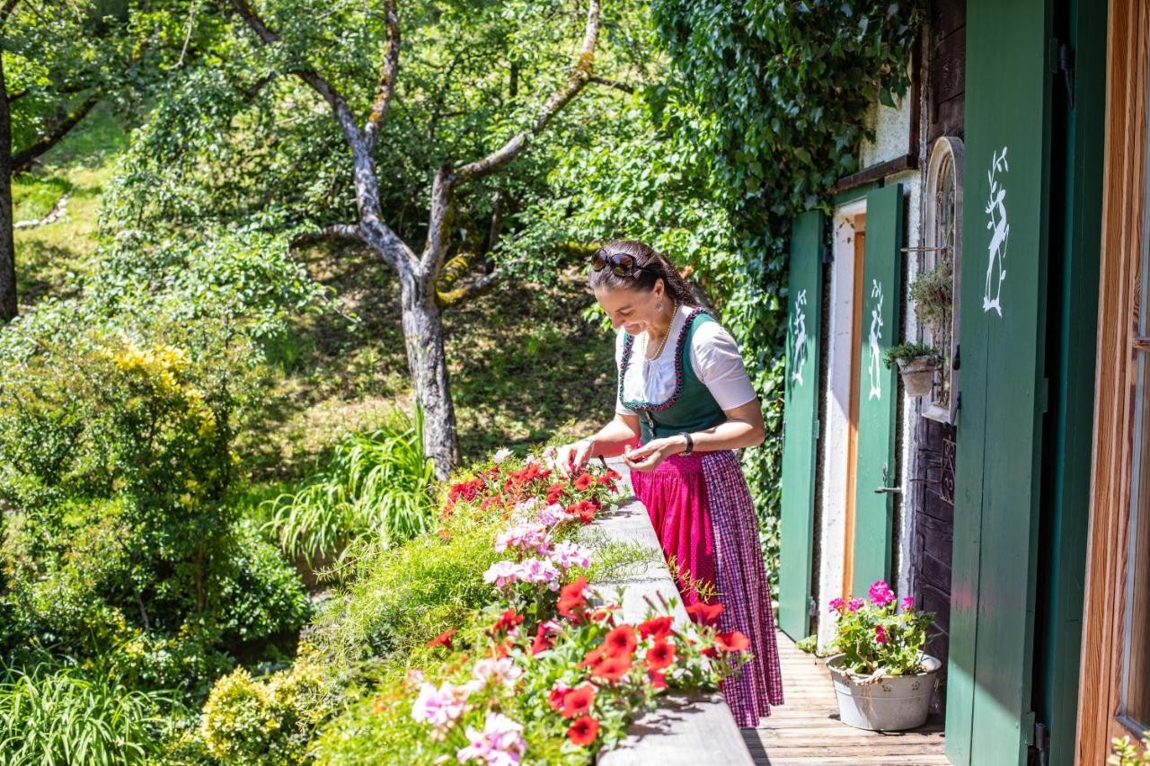 Haus Weidmannsheil - Wohnen Im Romantischen Forsthaus Werfen Kültér fotó
